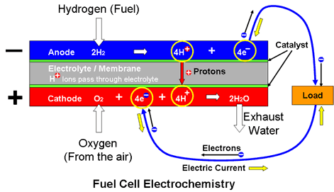 Fuel Cell Electrochemistry